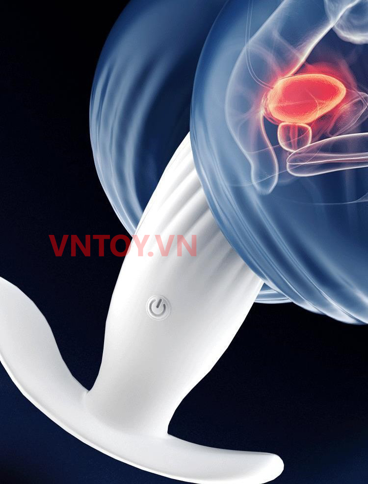 Phích cắm hậu môn điều khiển từ xa 10 chế độ rung