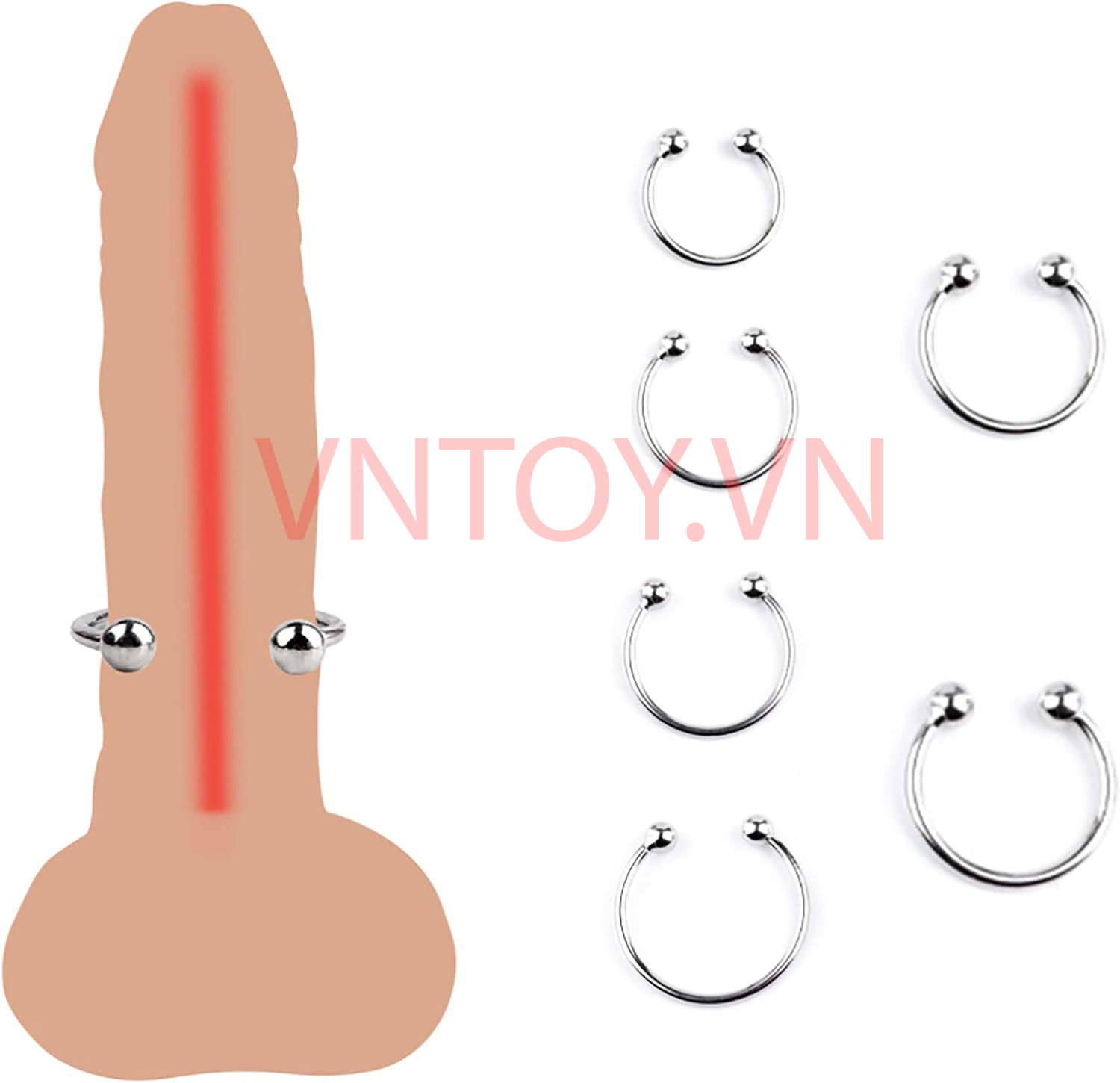 Vòng bi Inox đeo dương vật - Vòng 2 bi