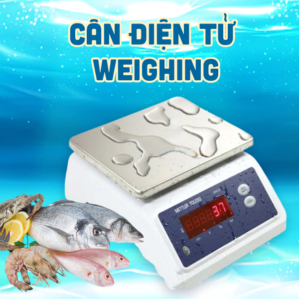 Cân điện tử WinMax