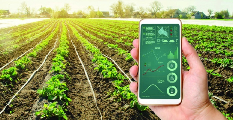 Thúc đẩy mô hình kinh tế chia sẻ trong các HTX nông nghiệp