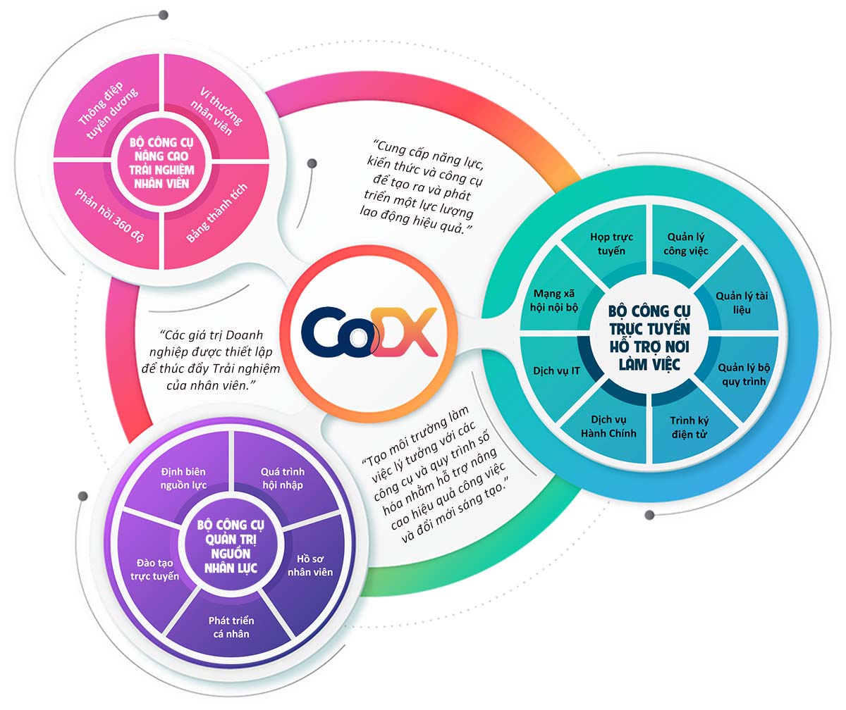 22 Câu Hỏi Khảo sát Mức Độ “Chuyển Đổi Số Văn Hóa Doanh Nghiệp