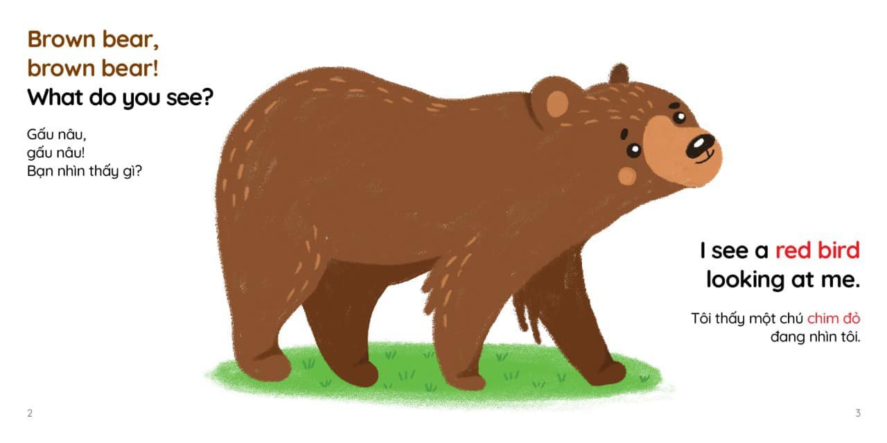 Brown bear