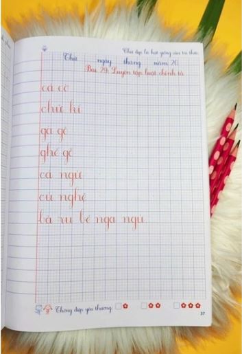 Vở ô li luyện viết tăng cường.