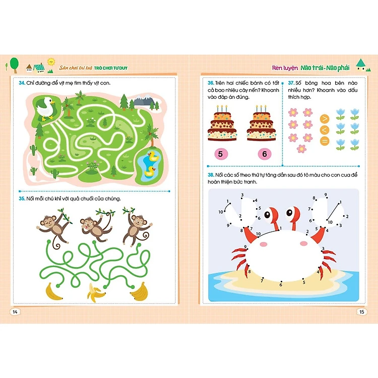 Rèn luyện não trái não phải.