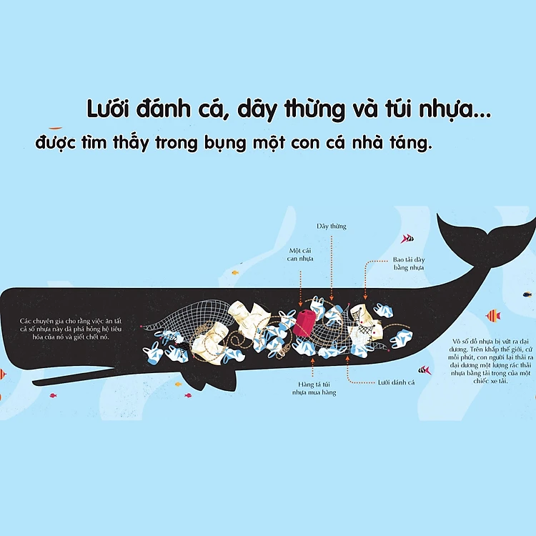 100 Bí Ẩn Đáng Kinh Ngạc Về Trái Đất - 100 Things To Know About Planet Earth