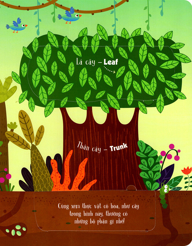 Lift-The-Flap-Lật Mở Khám Phá - First 100 Plants - 100 Từ Đầu Tiên Về Thế Giới Thực Vật
