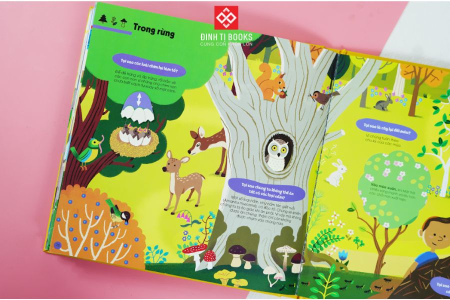 ĐINH TỊ - 1001 câu hỏi đáp về thế giới quanh ta - Tại sao?