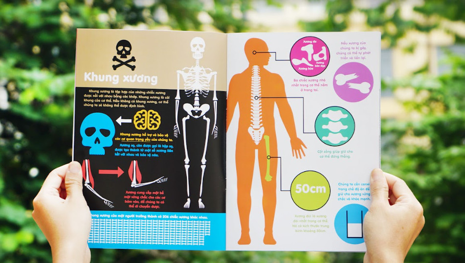 Infographics - Bách khoa tri thức bằng đồ họa cho trẻ em ( 4 tập )