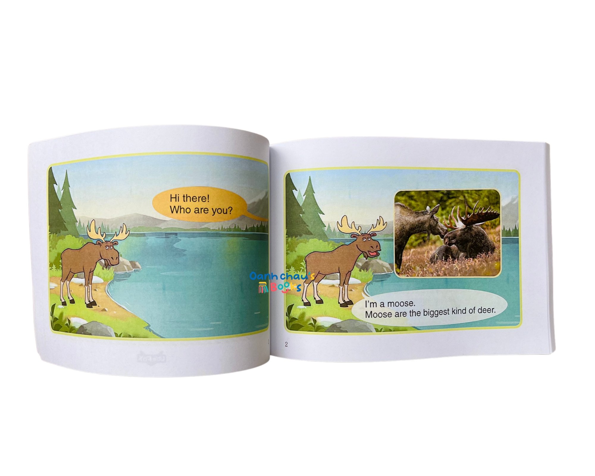 LITTLE FOX - Level 2 - Meet the Animals LITTLE FOX - Level 2 - Meet the Animals