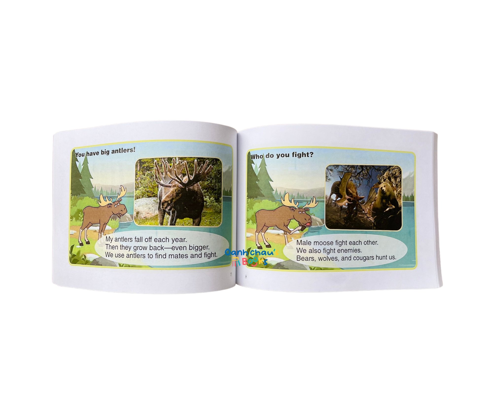 LITTLE FOX - Level 2 - Meet the Animals