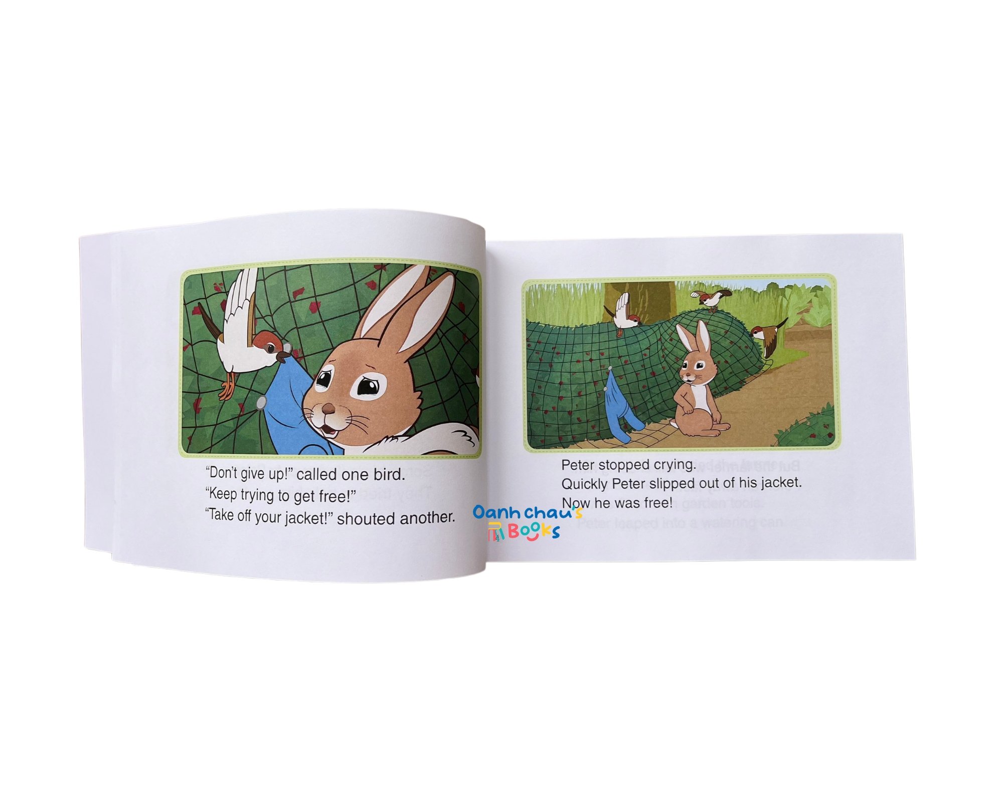 LITTLE FOX - Level 2- Peter rabbit