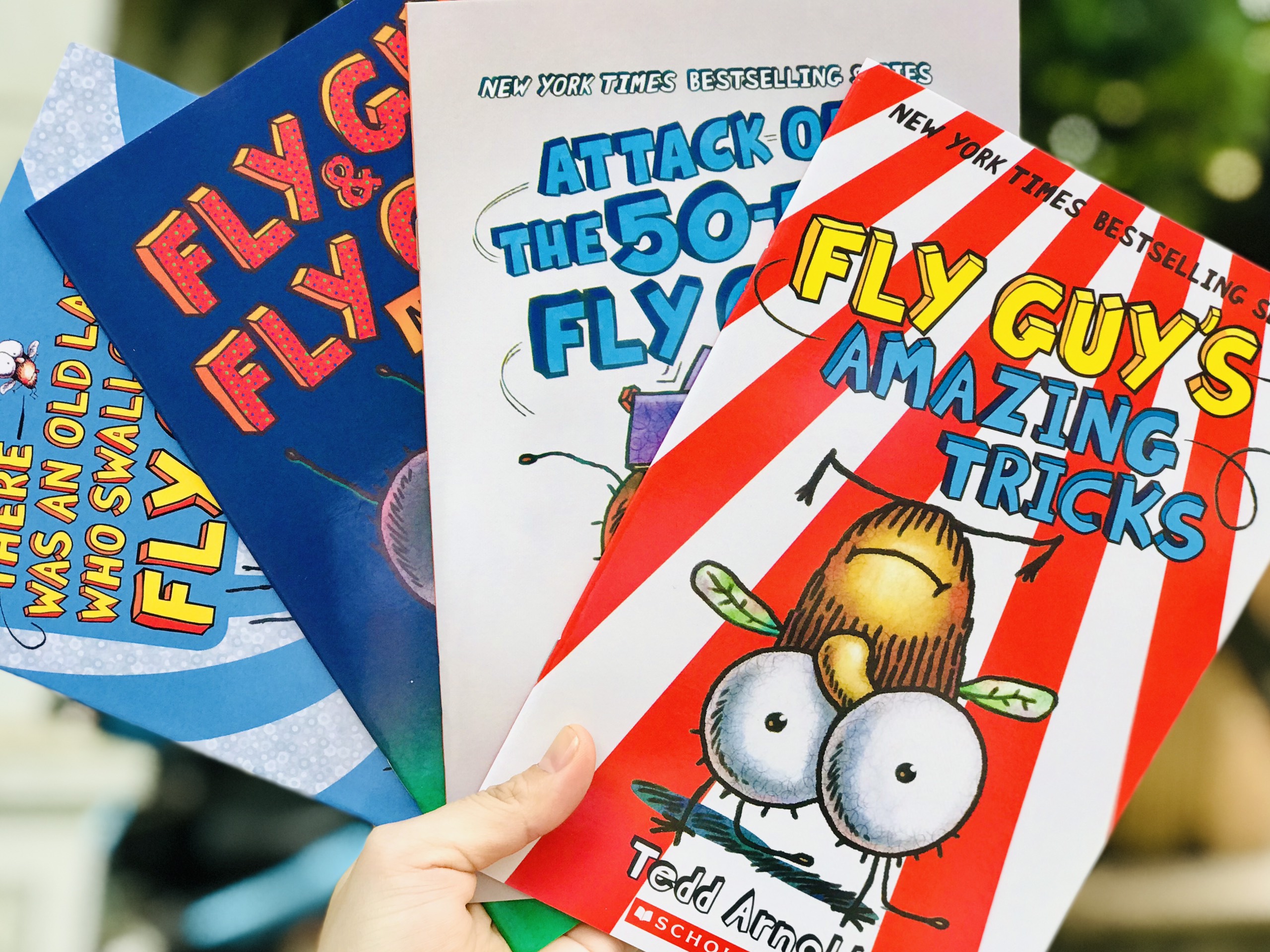 Fly guy