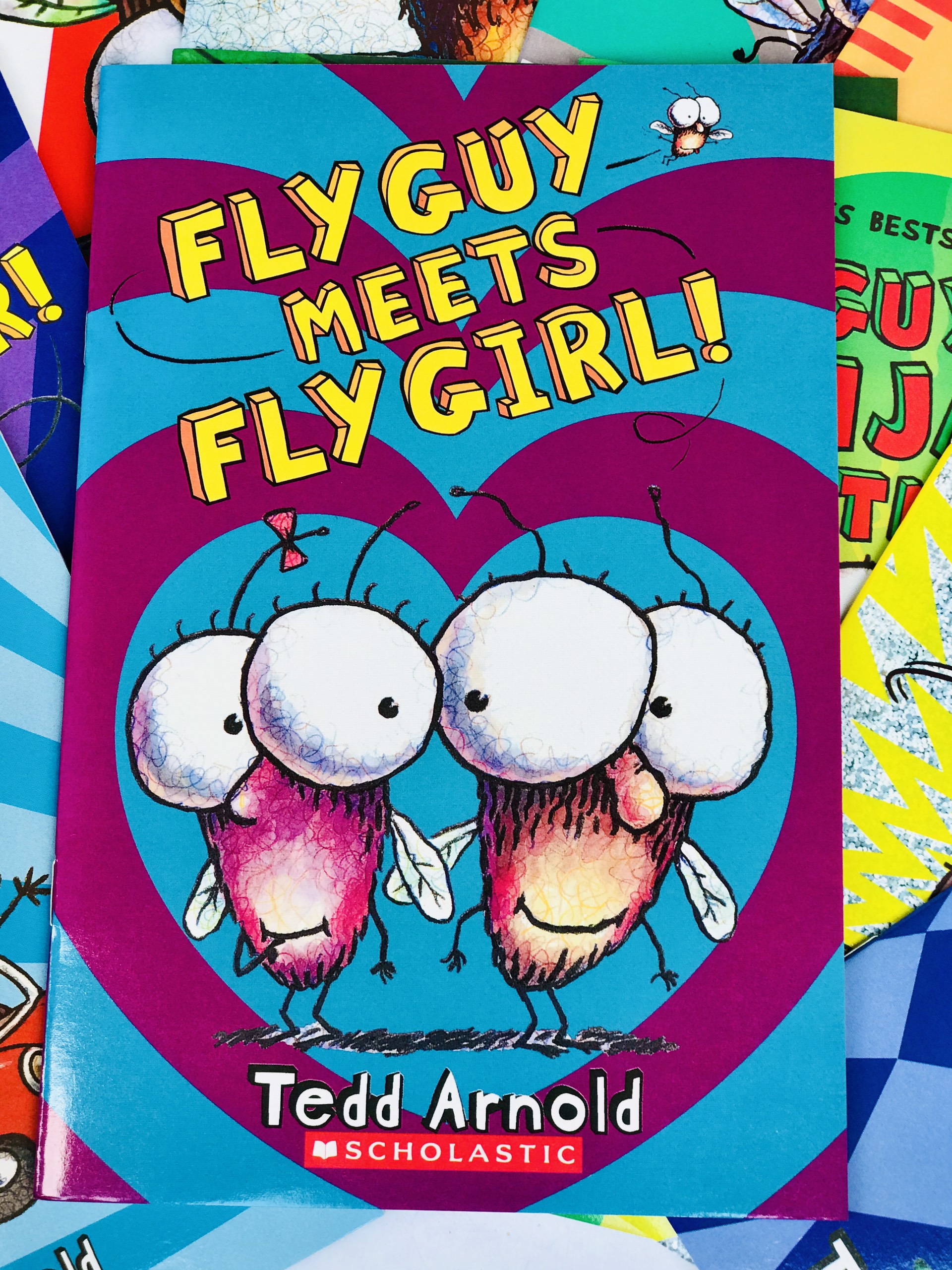 Fly guy