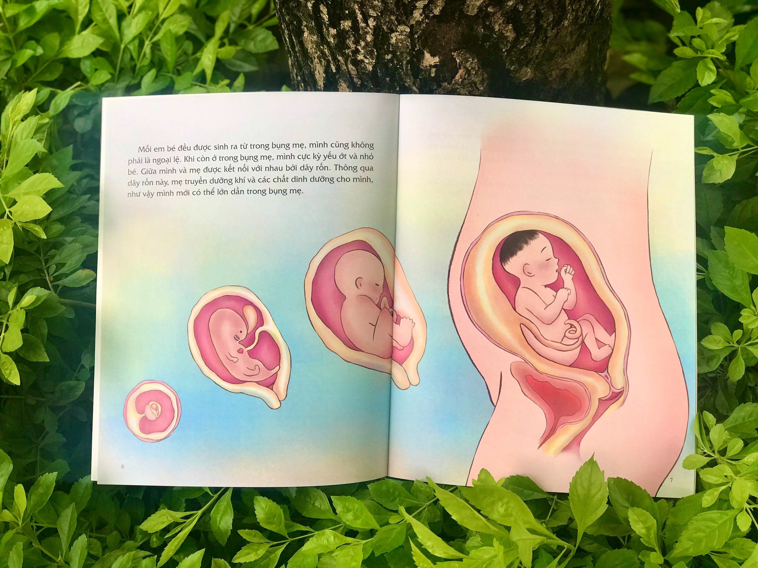 Combo 4 quyển giáo dục giới tính và nhân cách dành cho bé gái từ 5 đến 9 tuổi.