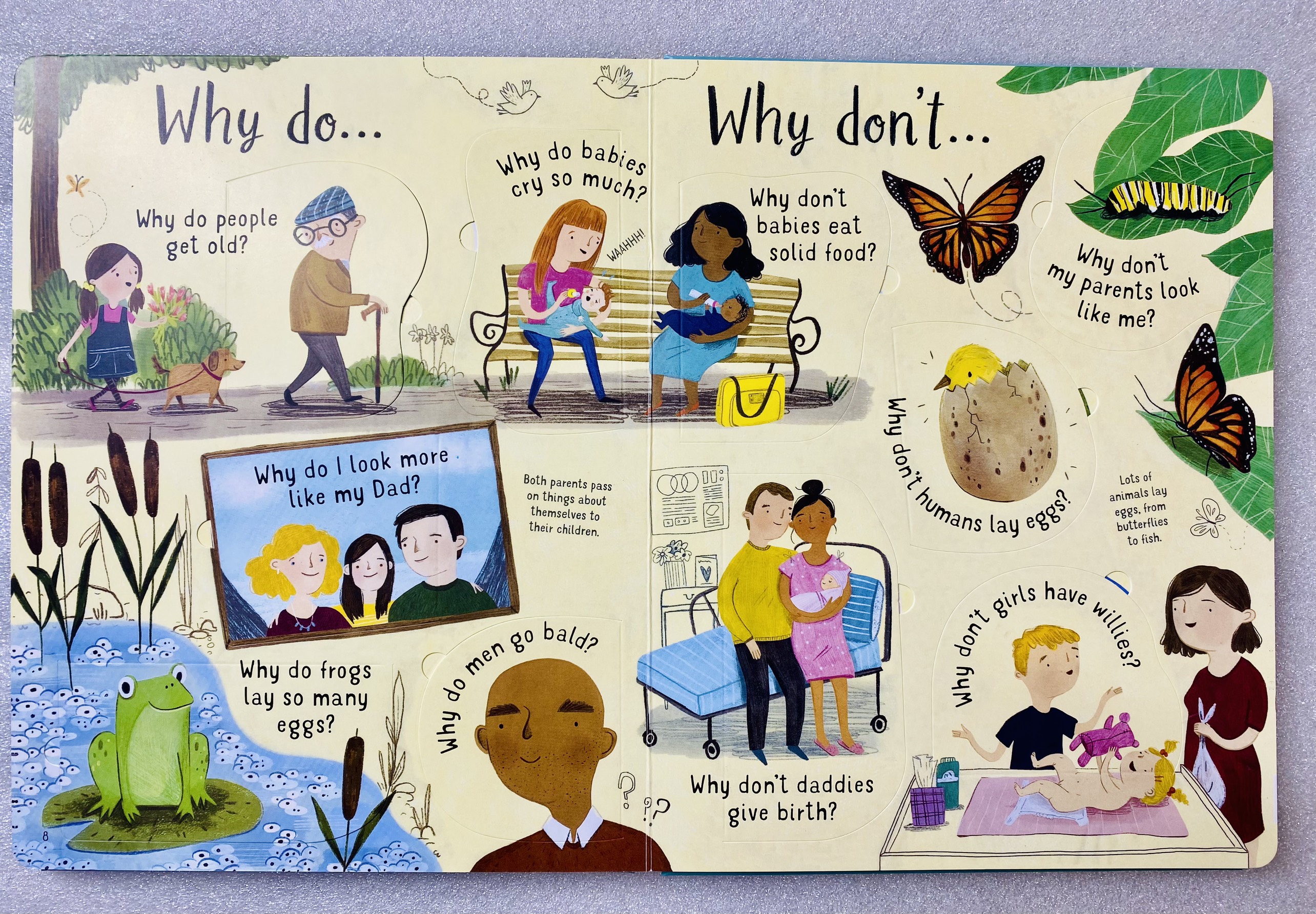 USBORNE - Lift the flap - Questions and Answers about Growing Up