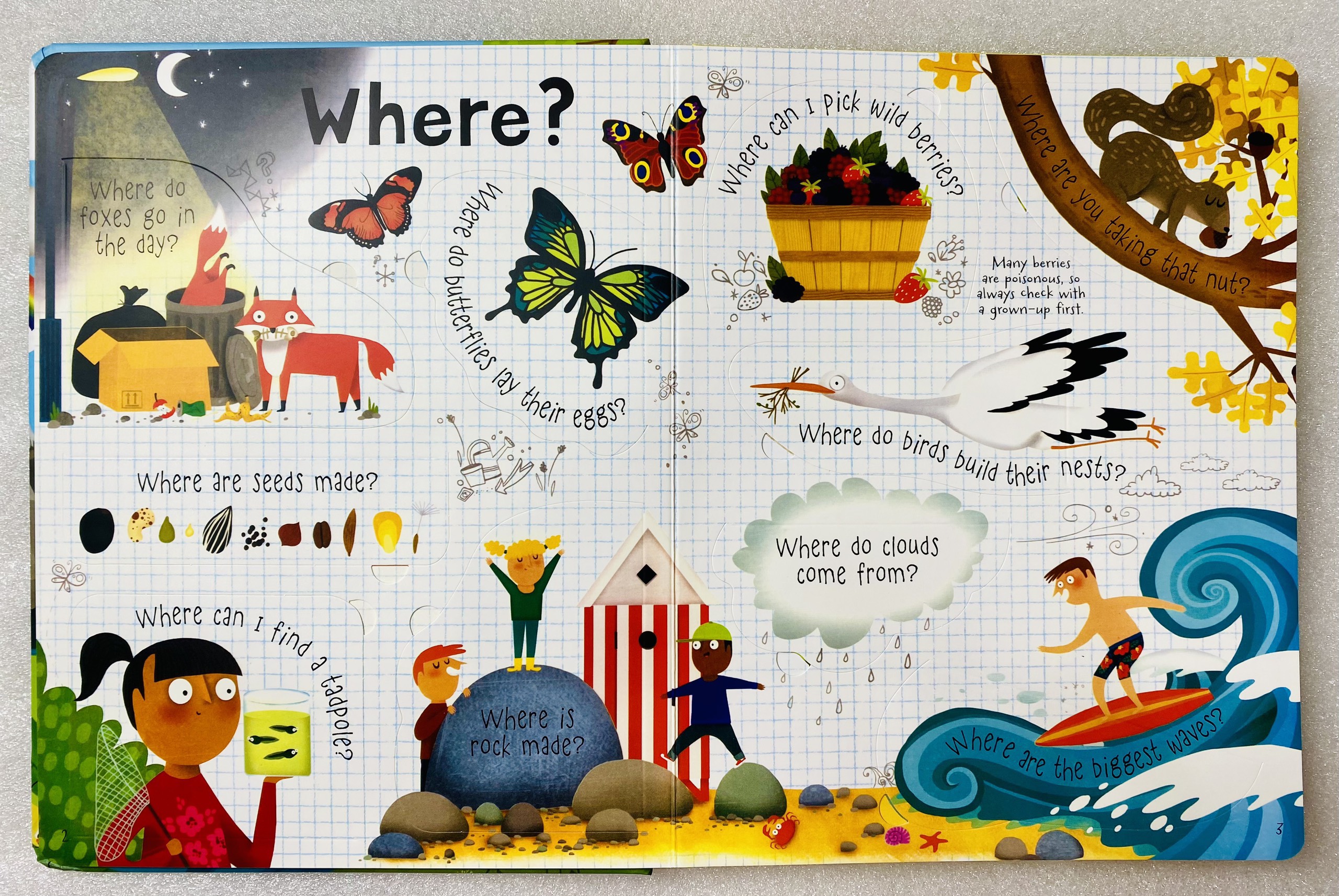 USBORNE - Lift the flap - Questions and Answers about Nature