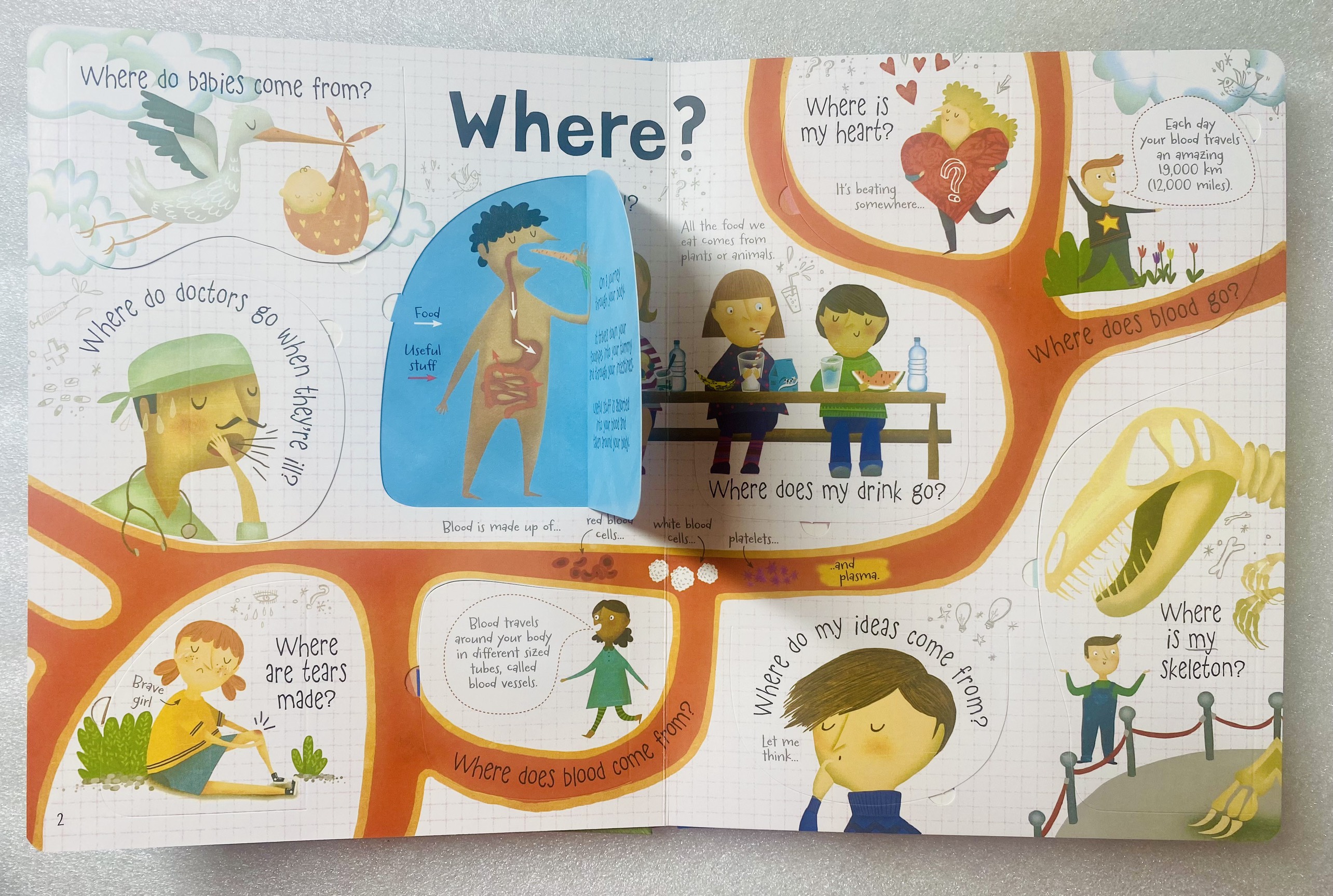 USBORNE - Lift the flap - Questions and Answers about Your Body
