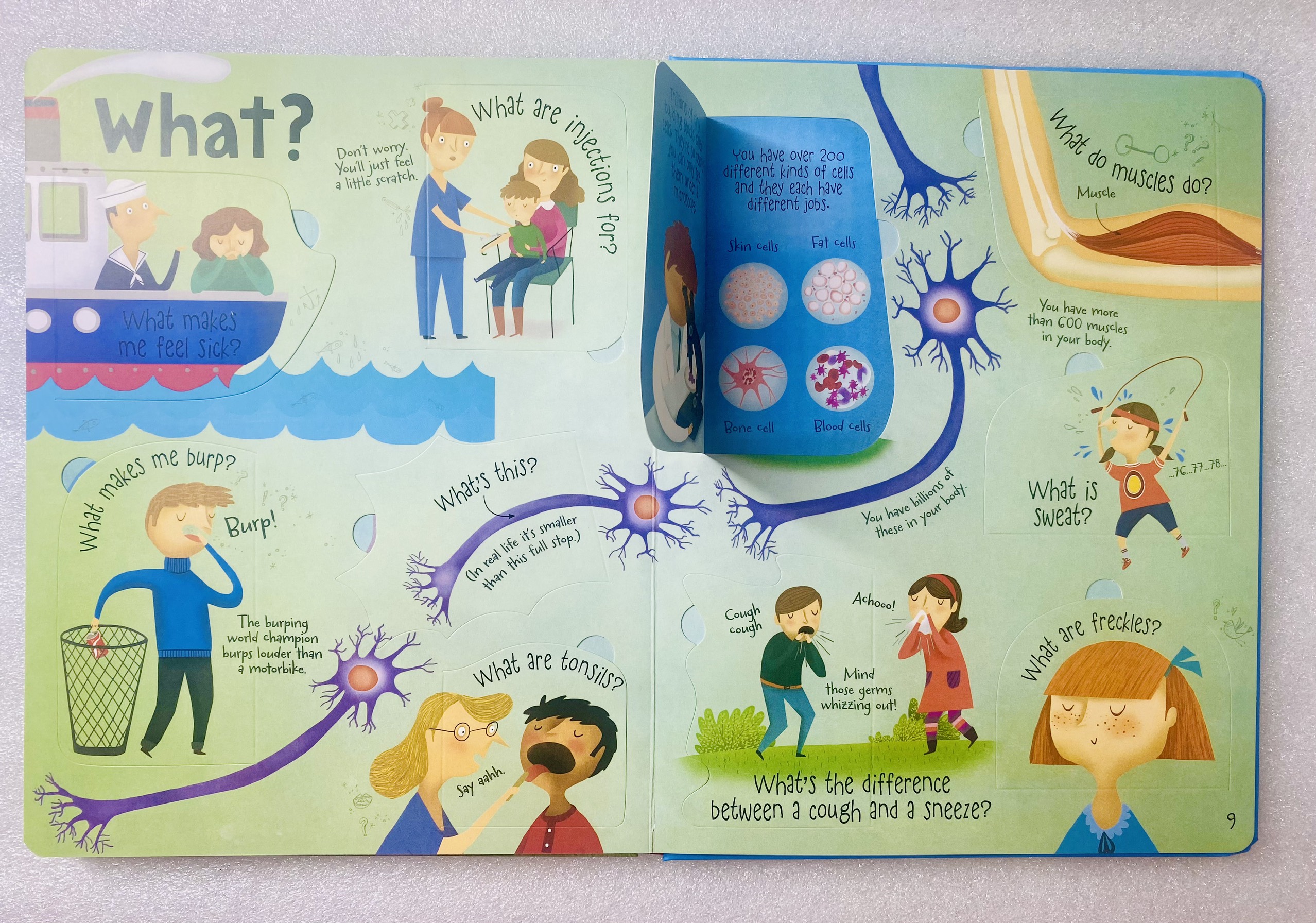 USBORNE - Lift the flap - Questions and Answers about Your Body