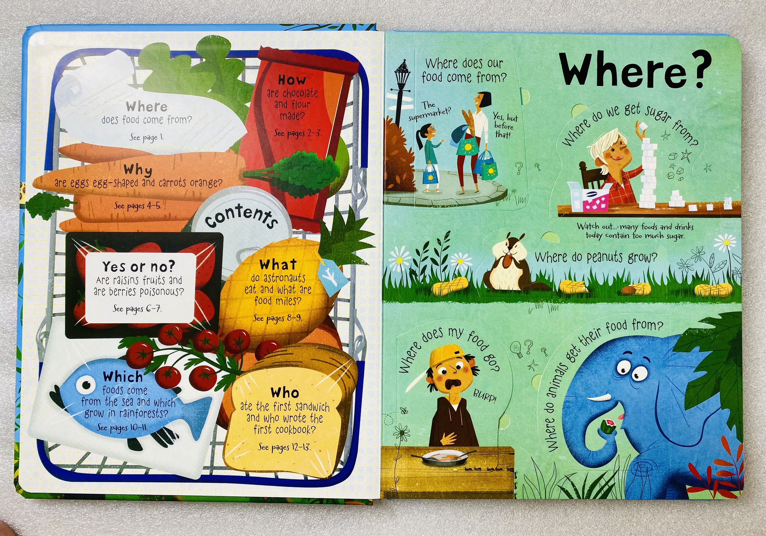 USBORNE - Lift the flap - Questions and Answers about Food