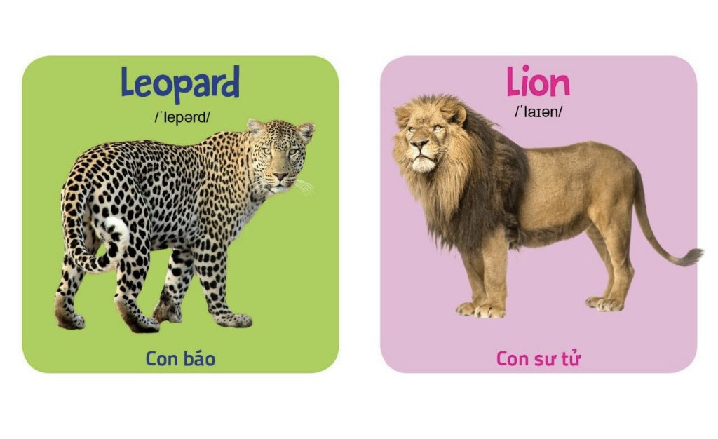 My first picture book - phần 1 (14 chủ đề)