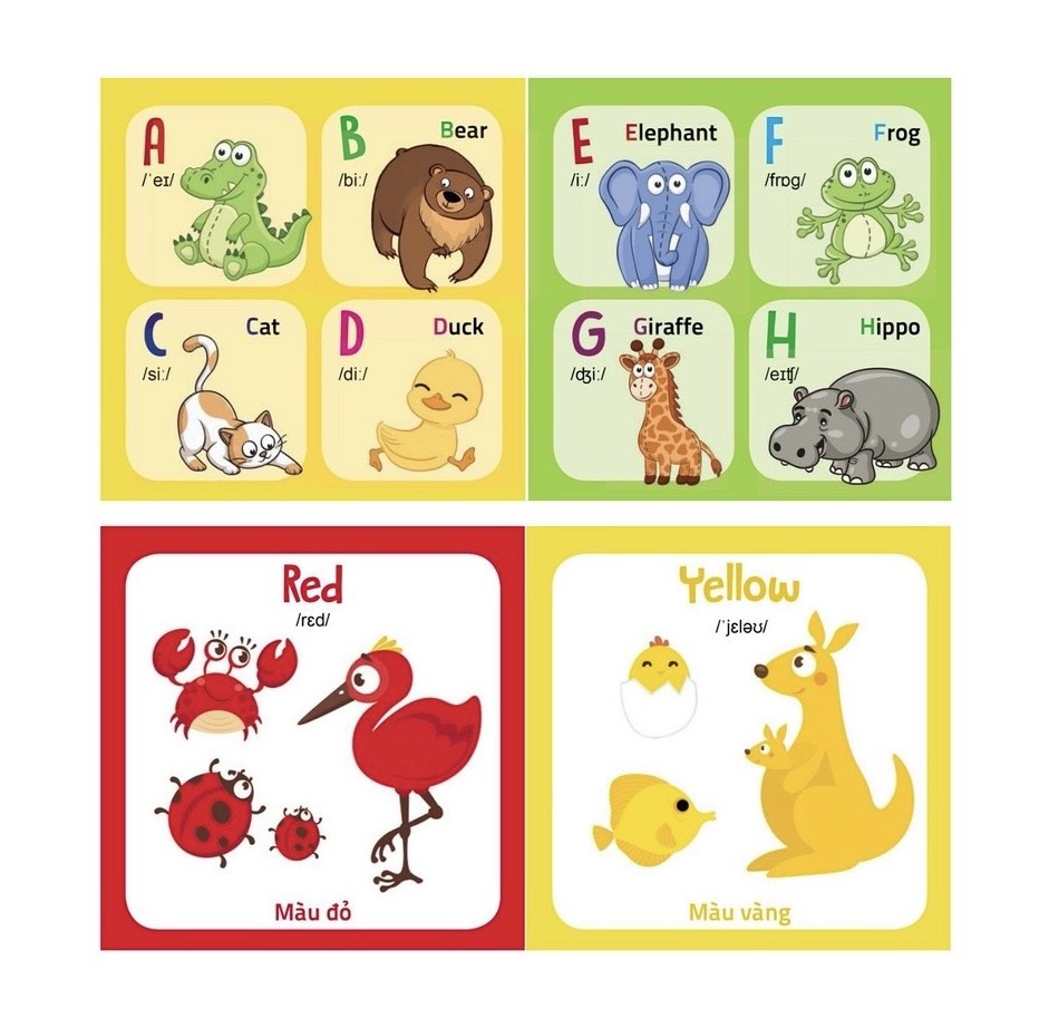 My first picture book - phần 1 (14 chủ đề)