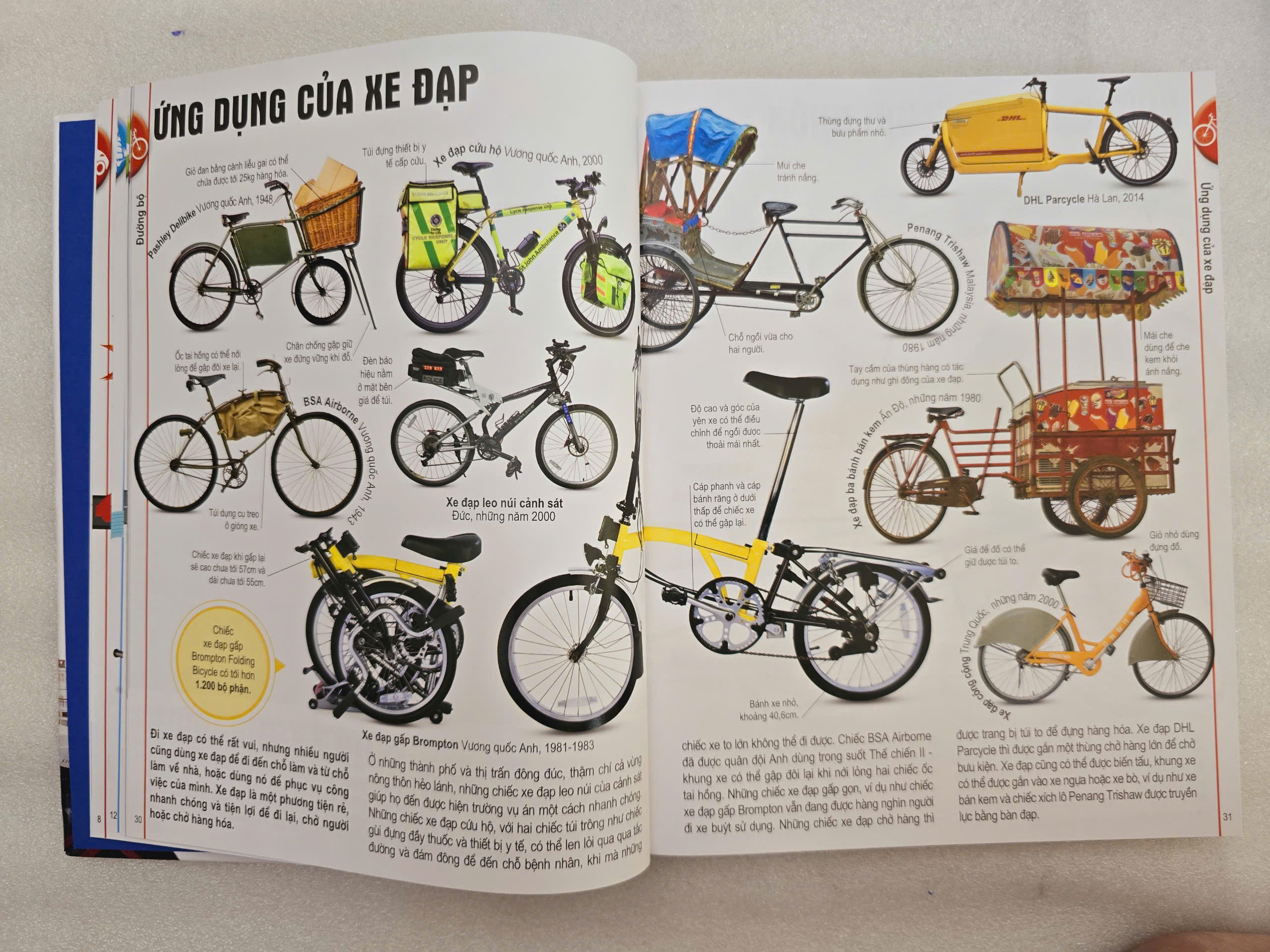 ĐINH TỊ - Bách khoa toàn thư : Phương TIện Giao thông