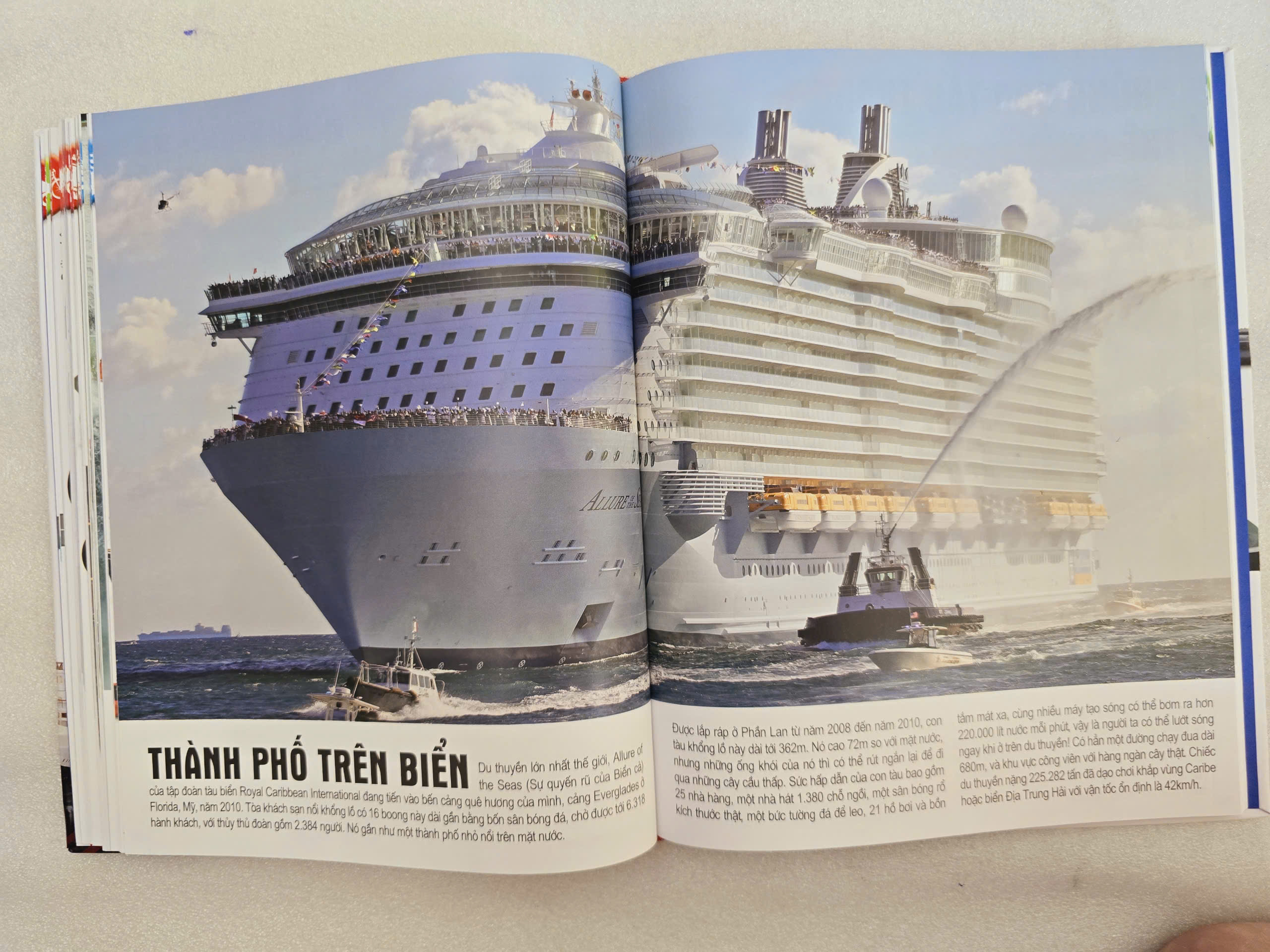 ĐINH TỊ - Bách khoa toàn thư : Phương TIện Giao thông