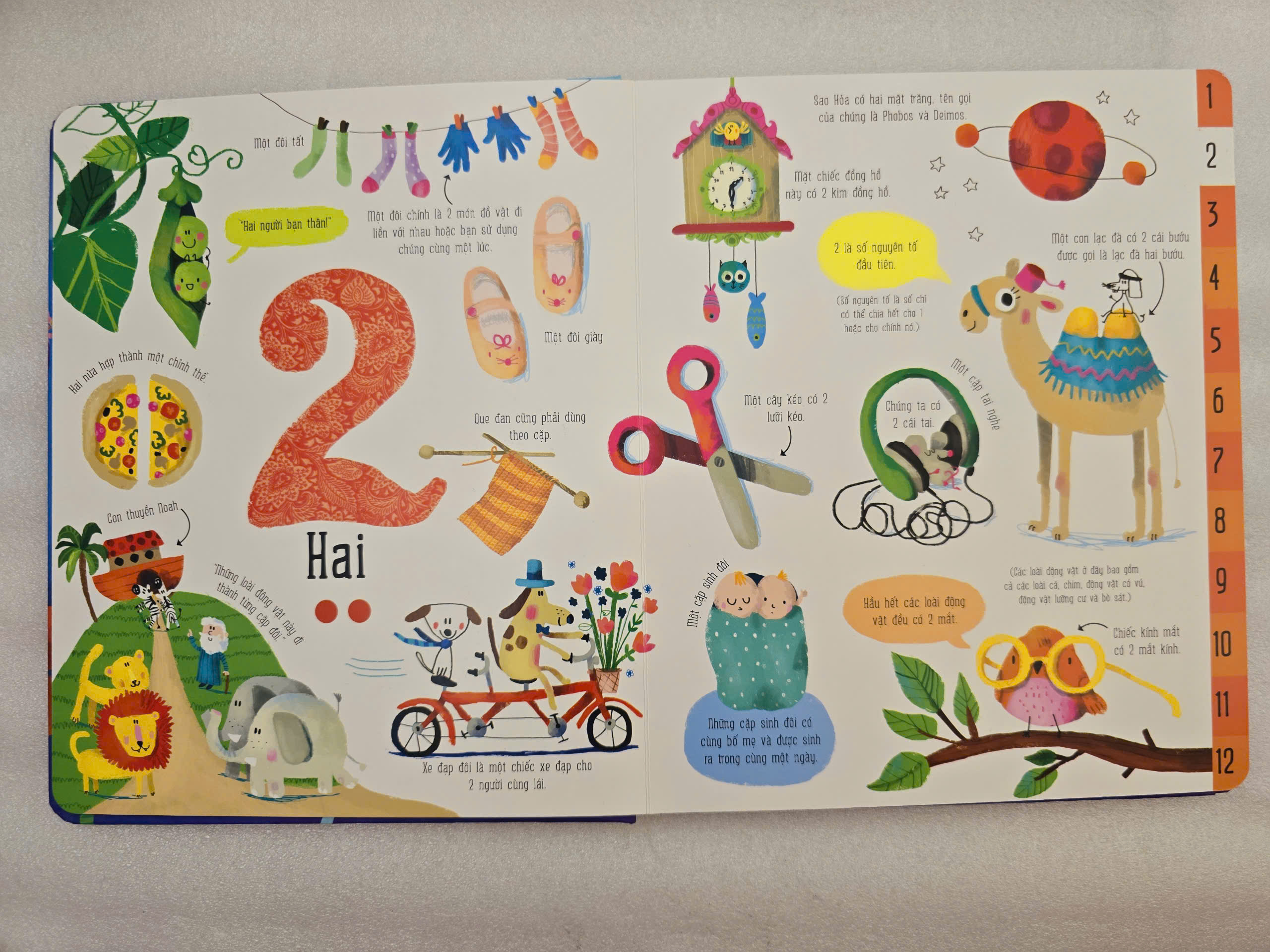 ĐINH TỊ - Cuốn sách khổng lồ về Các con số