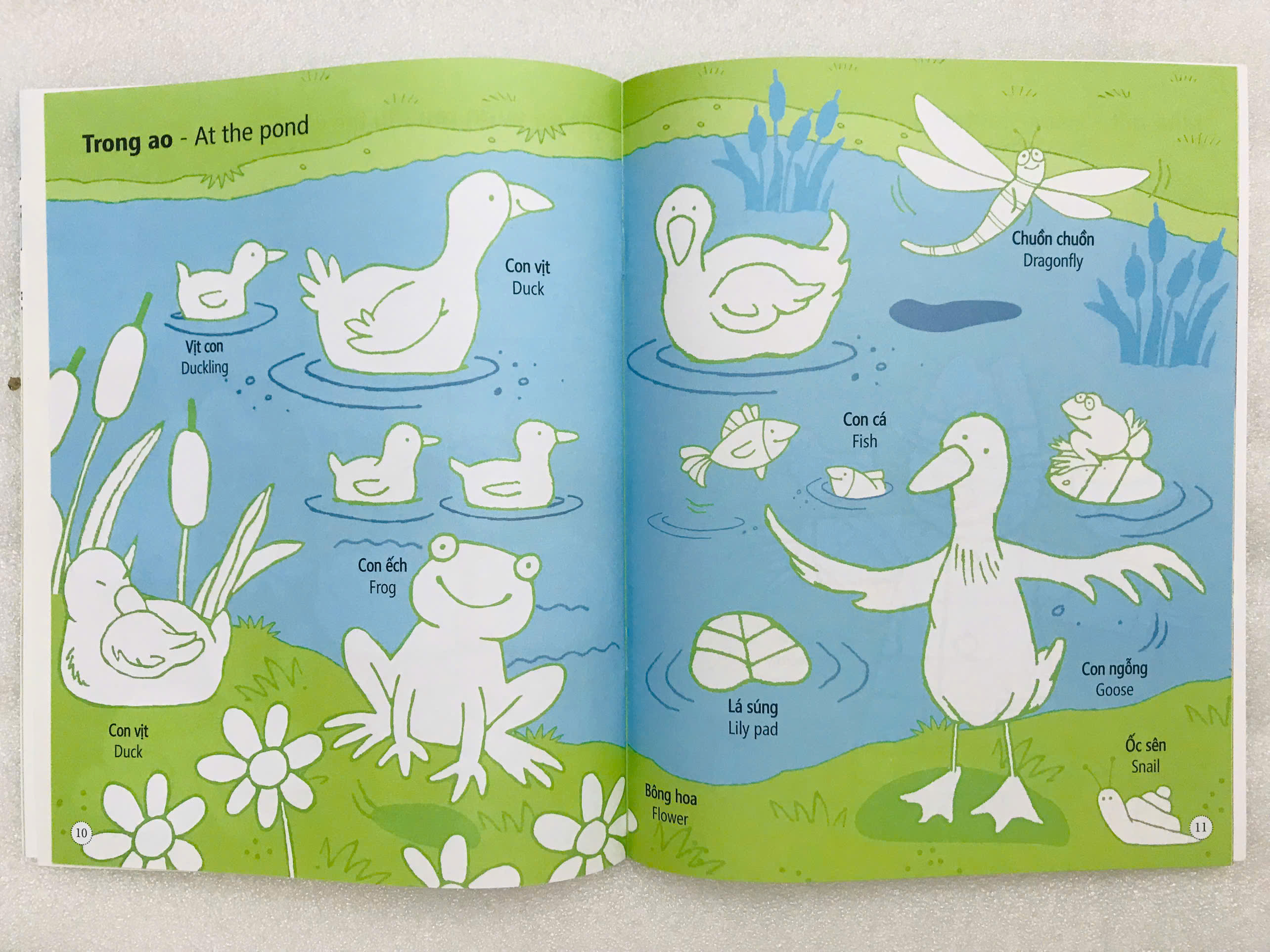 ĐINH TỊ - Sticker tô màu nông trại