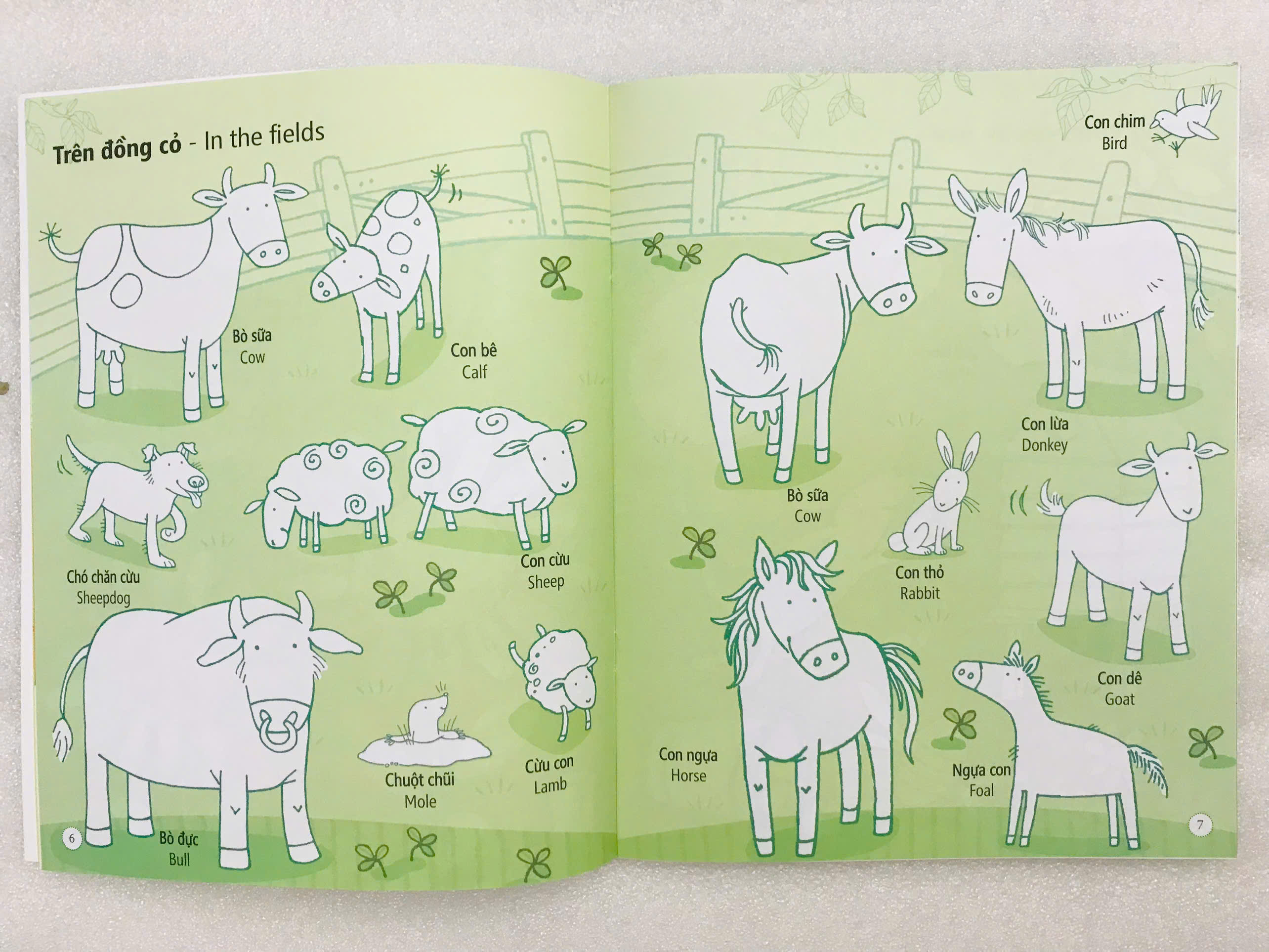 ĐINH TỊ - Sticker tô màu nông trại