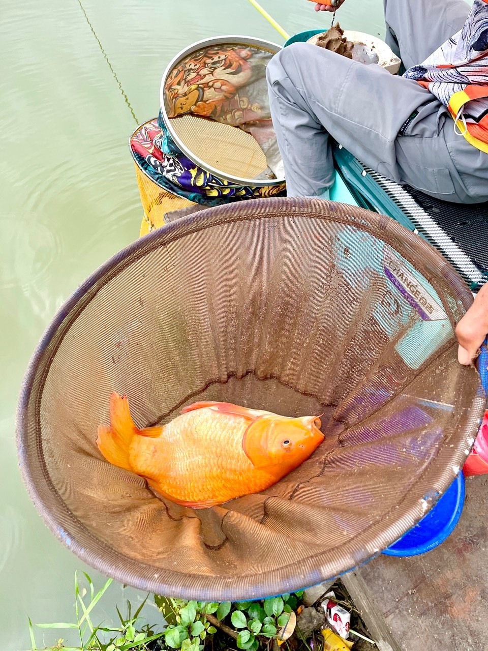 Công Thức Mồi Xả Cá Diêu Hồng Siêu Nhạy