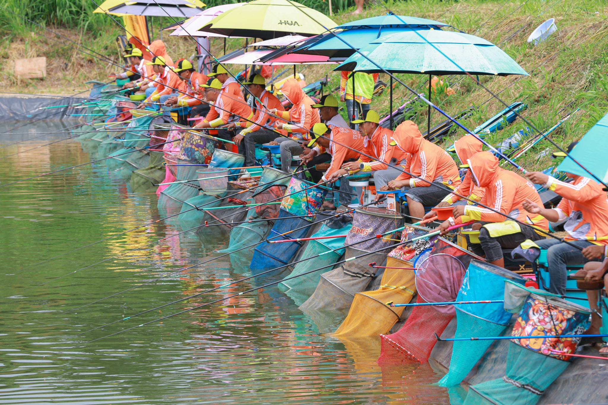 Giới Thiệu Câu Lửng Và Câu Đáy Cho Anh Em Câu Mới