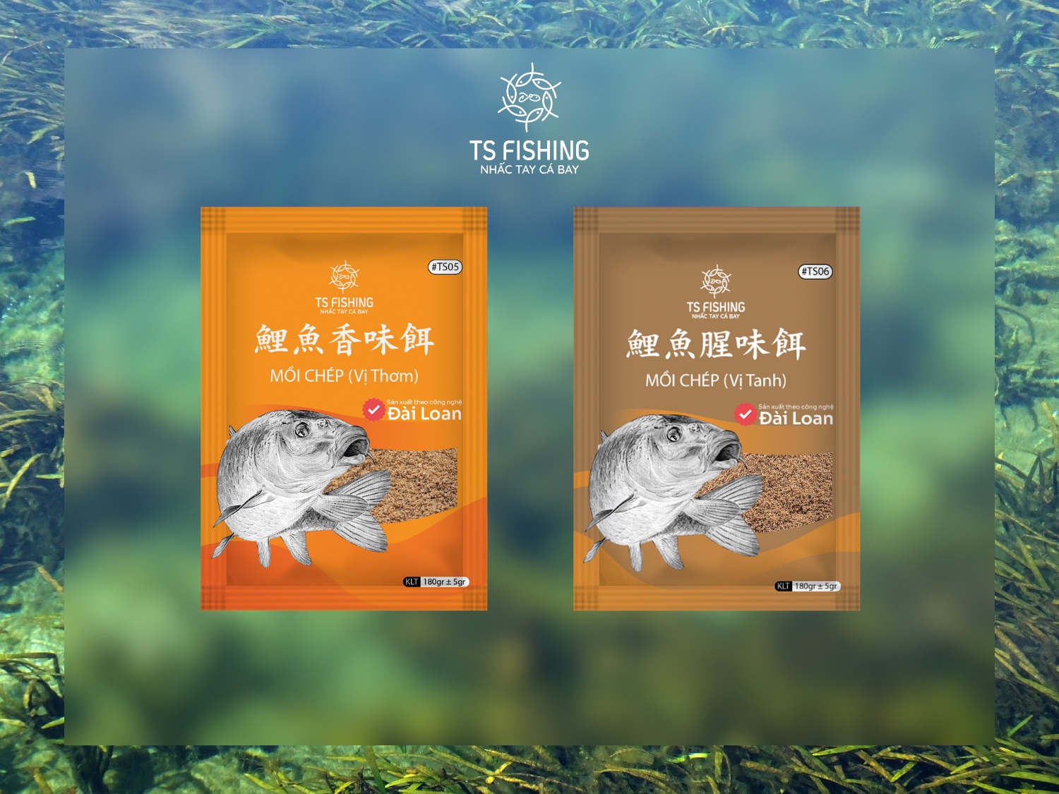 Mồi Câu Cá Chép Đơn Giản, Hiệu Quả