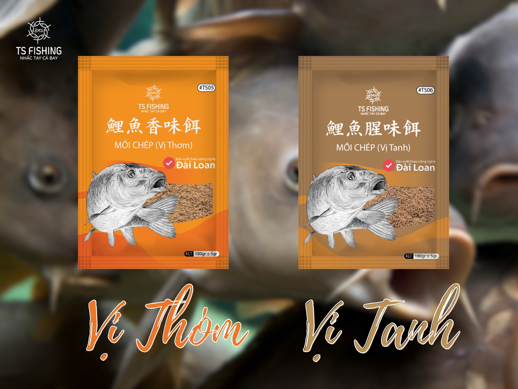 Cách Làm Mồi Câu Cá Chép Hiệu Quả