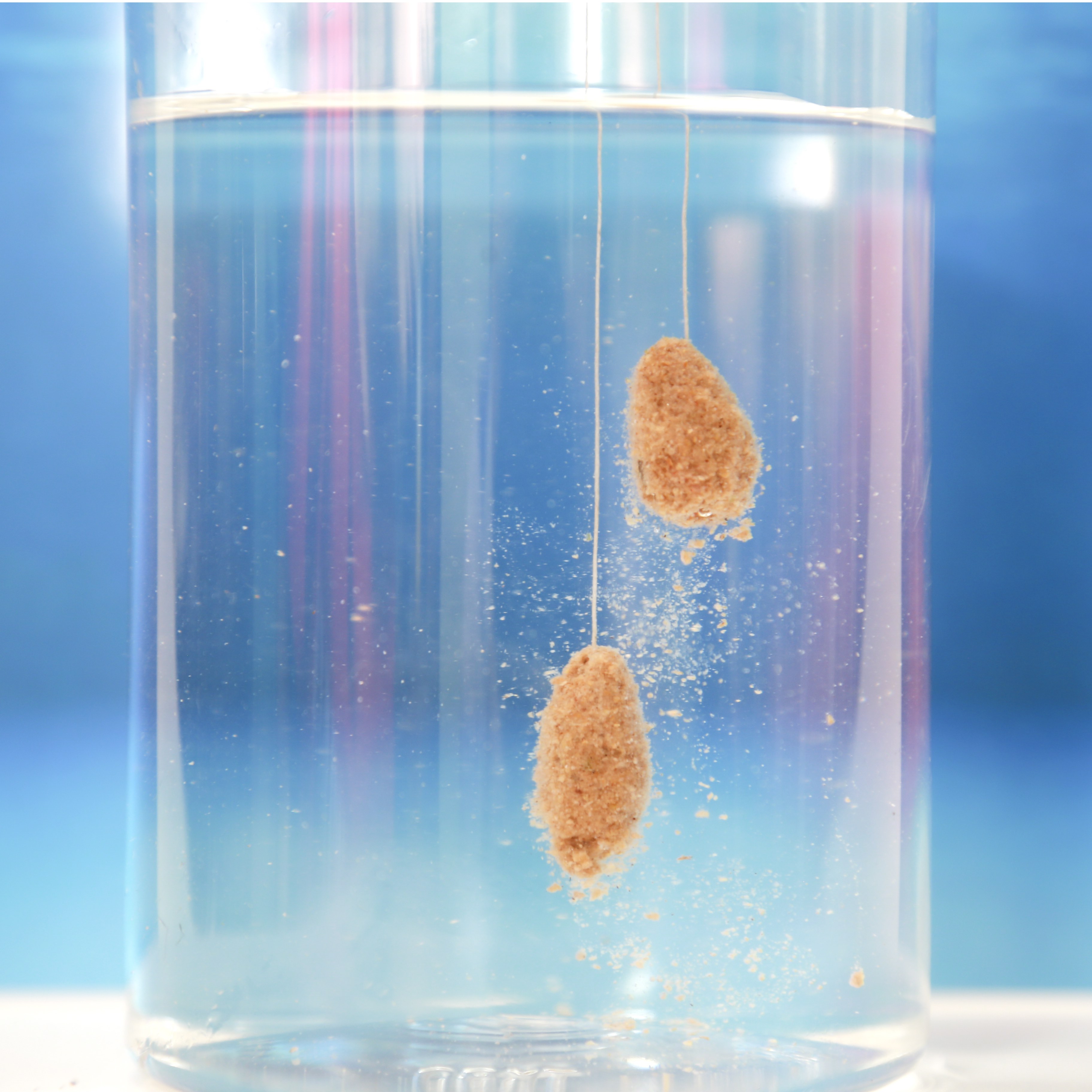 Mồi Chép Vị Tanh TS06