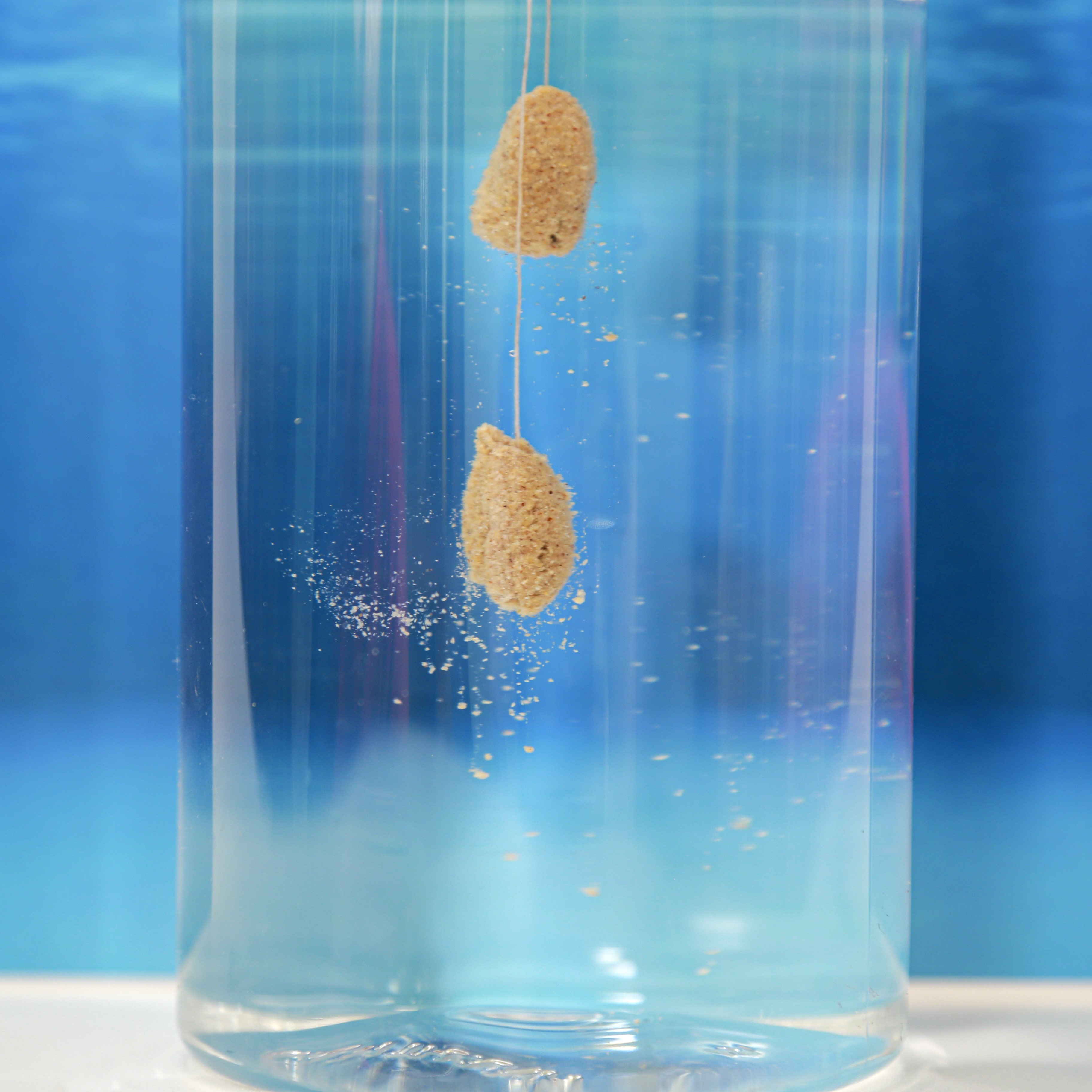 Mồi Chép Vị Thơm TS05