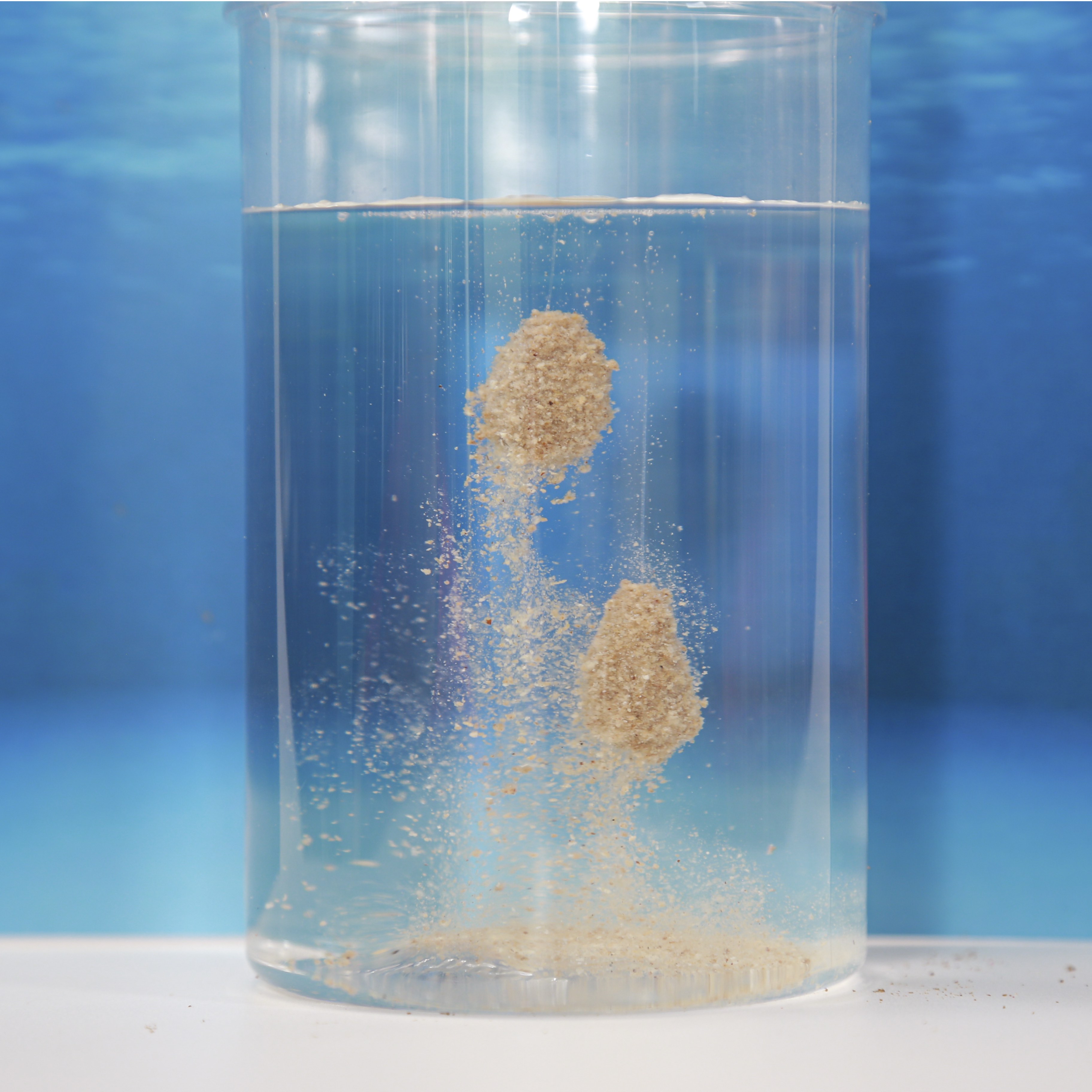 Mồi Rô Phi Gan TS01