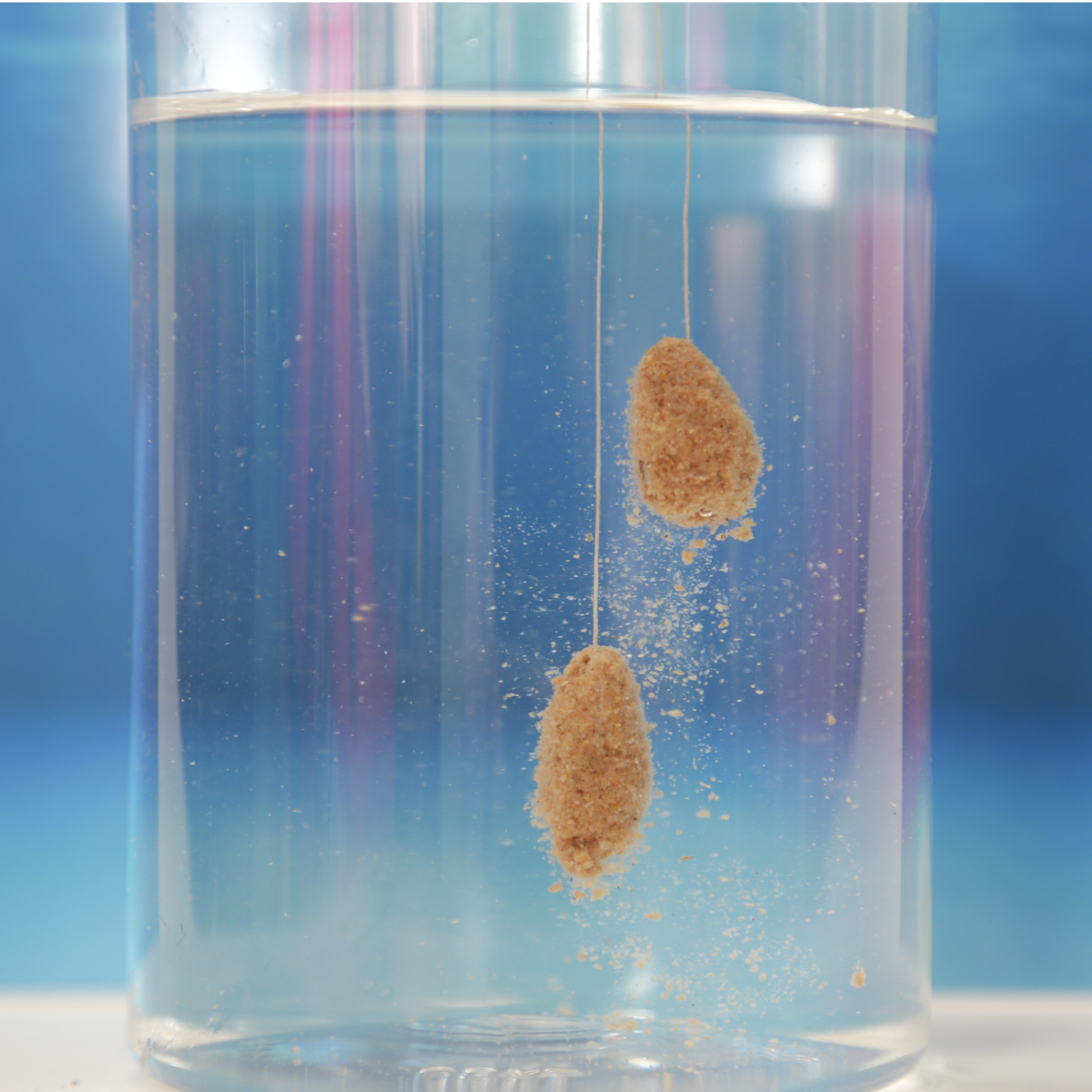 Mồi Rô Phi Vị Tanh TS04