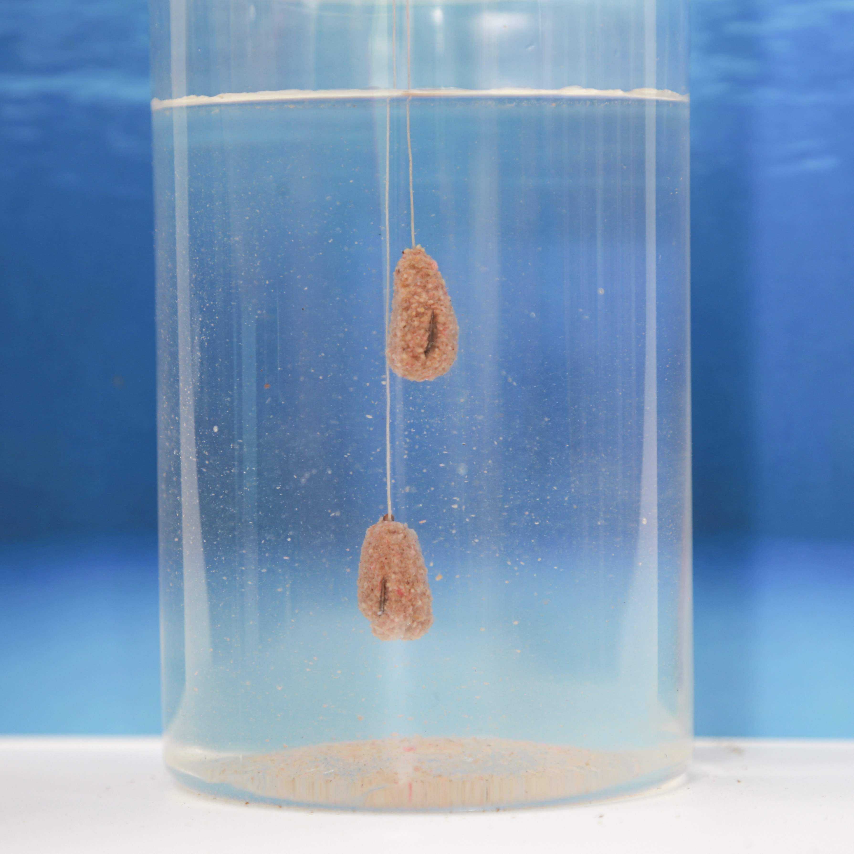 Mồi Rô Phi Tôm TS02