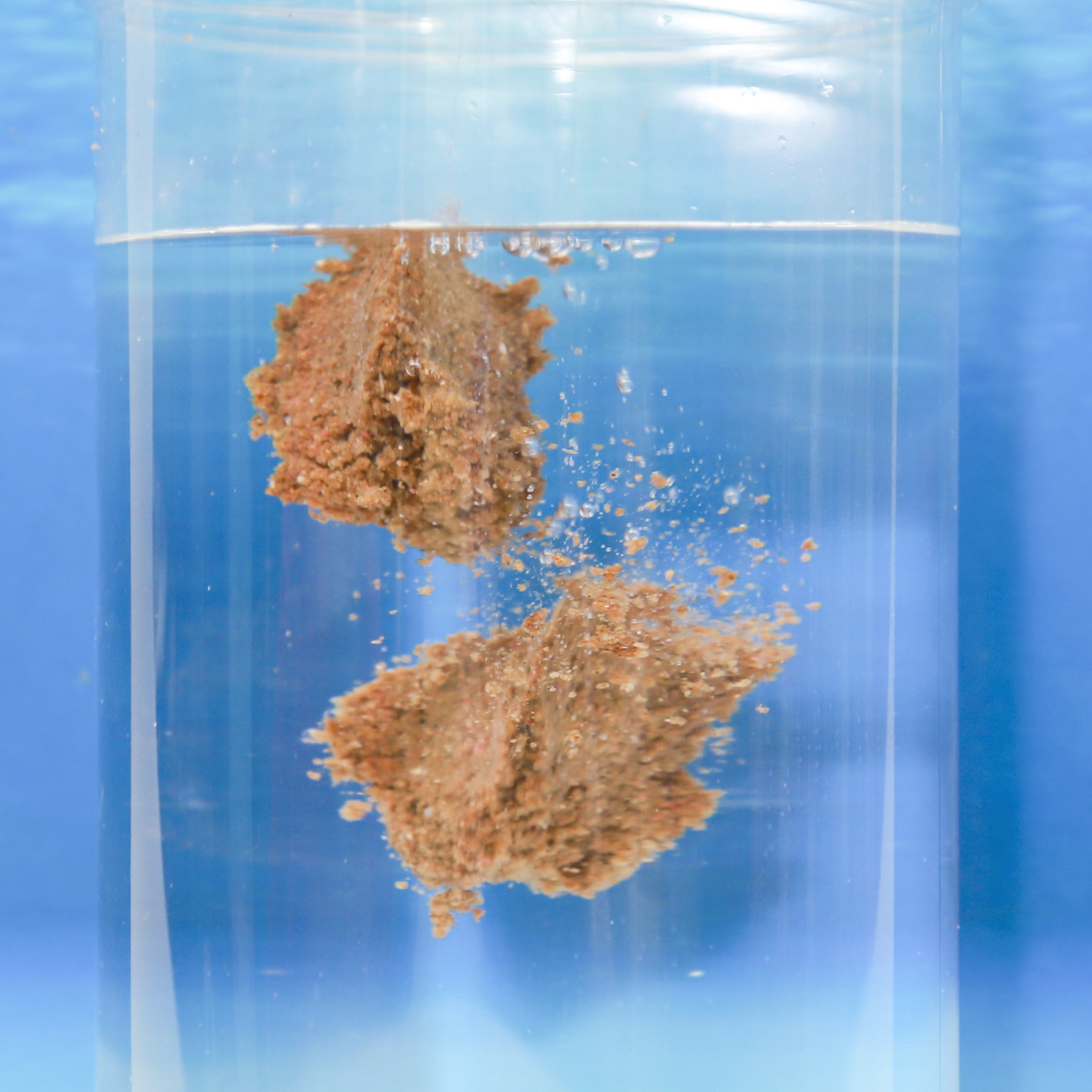 Mồi Cám Xả Chép TS12