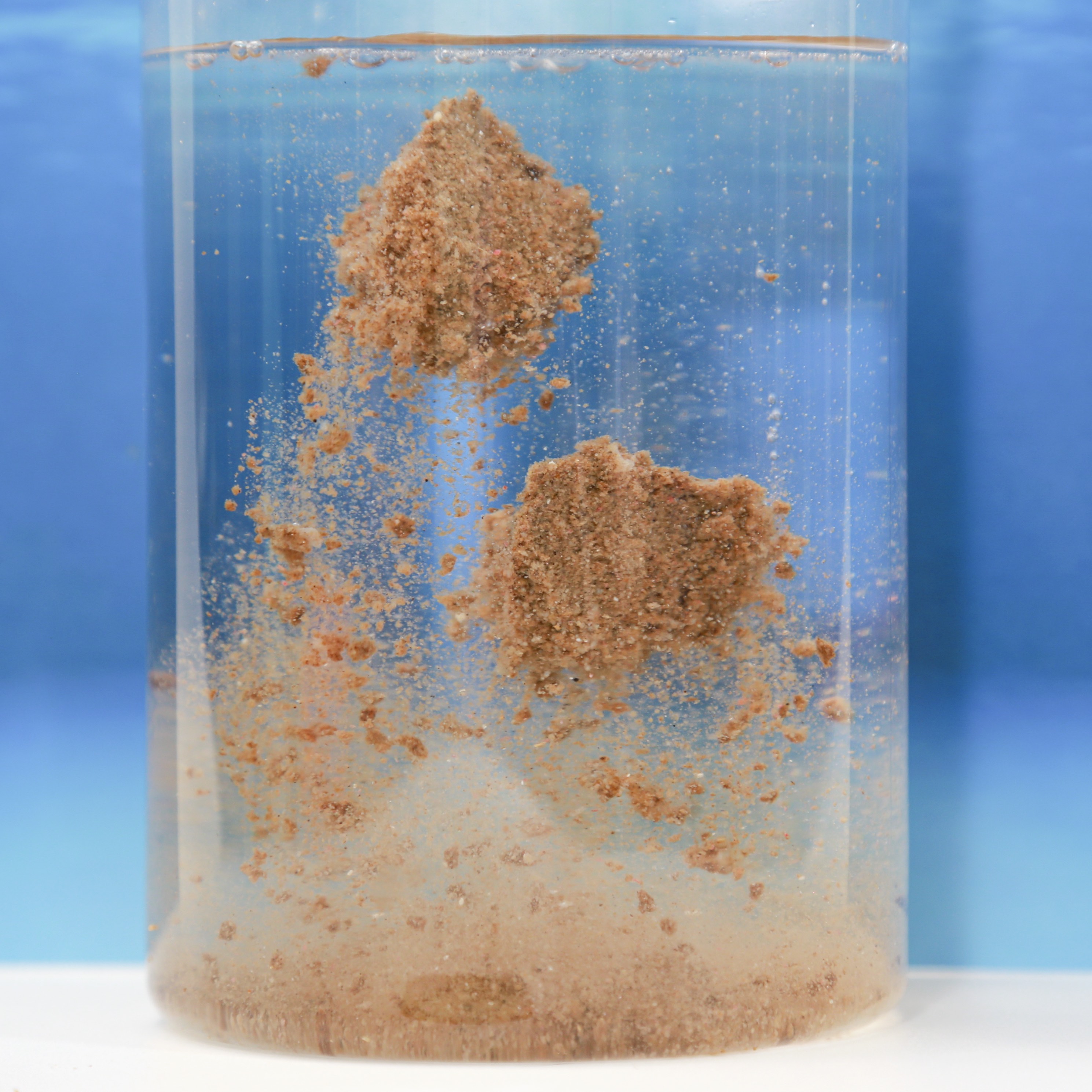 Mồi Cám Xả Phi TS11