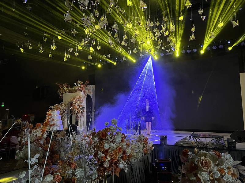 Hiệu Ứng Máy Tạo Tuyết Và Đèn Laser: Tăng Thêm Phần Lãng Mạn Cho Tiệc Cưới