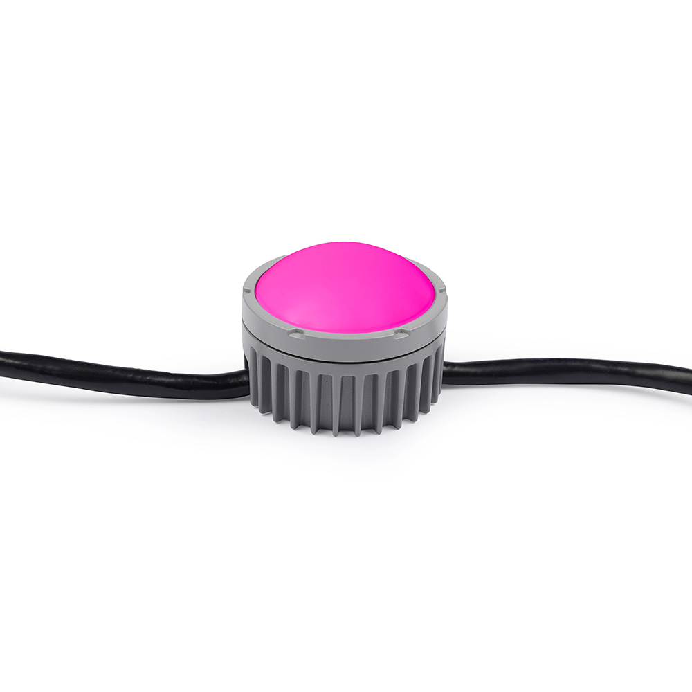 Led Dây Chống Nước Exterior Dot-HP Pro - Martin