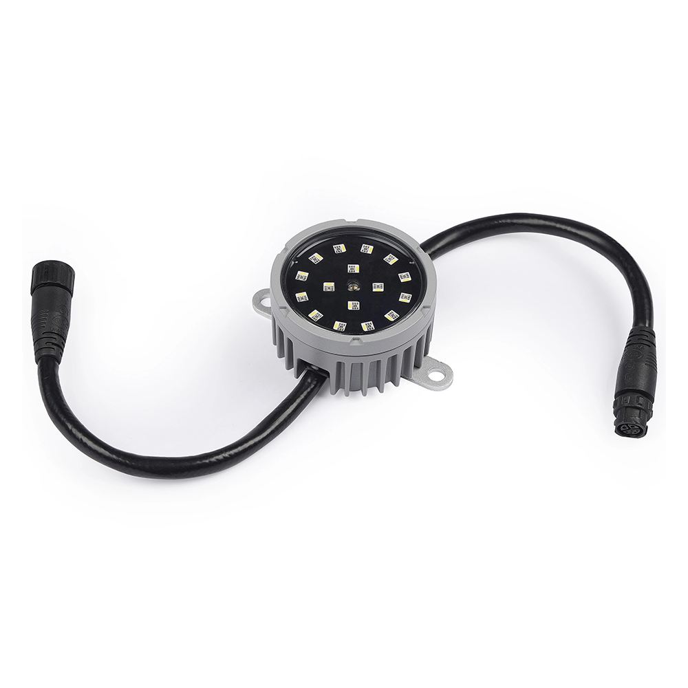 Led Dây Chống Nước Exterior Dot-HP Pro - Martin