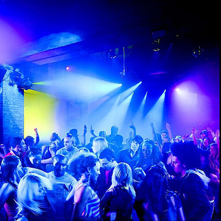 FX-1.0 | Flash Fox 1.0