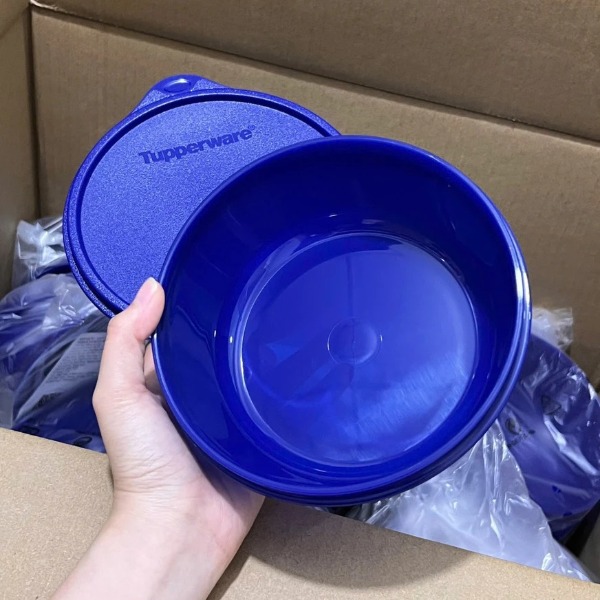 Hộp Tupperware Trữ Mát Modular Bowl Xanh Dương Đậm - New Tupperware