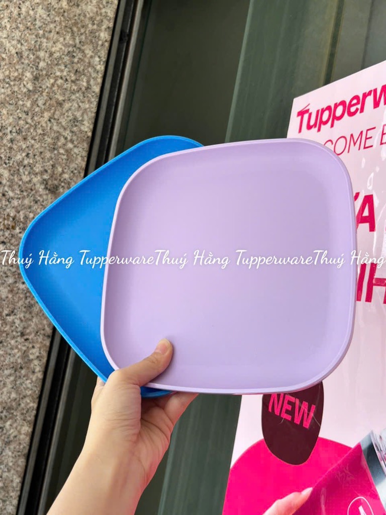 Combo Bộ Đĩa Tupperware Vuông 20cm -  4 Màu - Năm 2025 - Tupperware Trung Chính Hãng