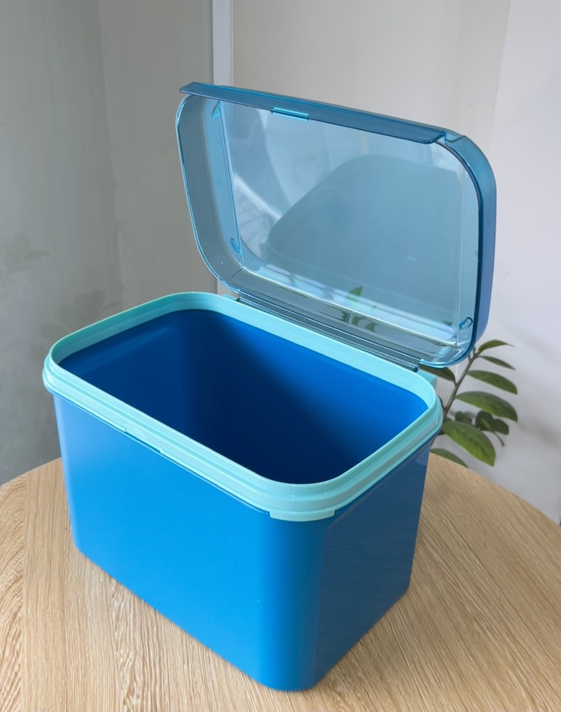 Hộp Tupperware Trữ Mát Ezy Rectangular Keeper 6.5L - Nắp Liền - Tupperware Malaysia Chính Hãng