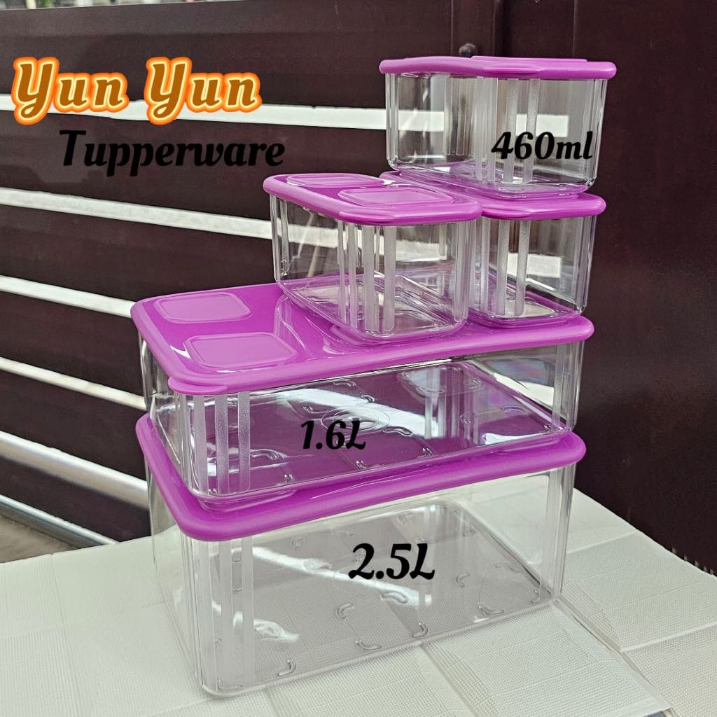 Bộ Hộp  Tupperware Trữ Khô Tím Nhựa Trong Clearmate - Tupperware Malaysia Chính Hãng