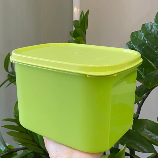 Tuptrung Hộp Tupperware mát colorful 1.9lit (4 màu)